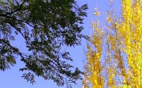 ����������~�Z