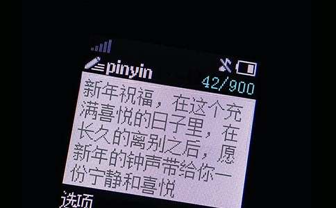 520��ף�����ţ����x310�䣩