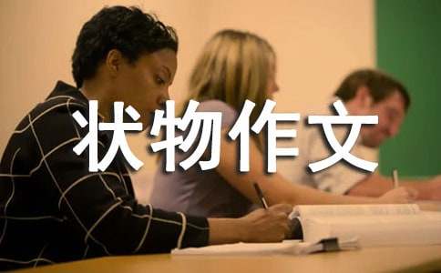 ������������600��