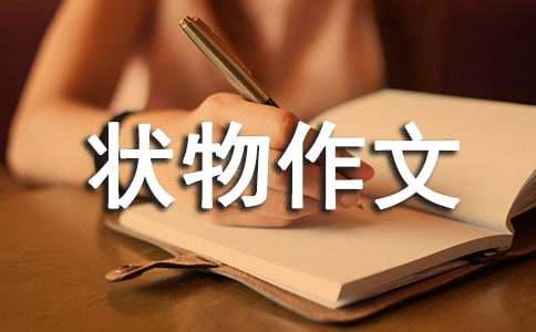 �ļ����L(f��ng)_���Р�������600��