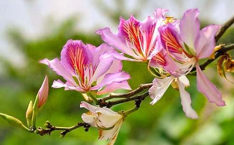 ���������G�����ģ����x24ƪ��