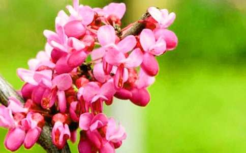 Ư�������G������400�֣�ͨ��48ƪ��