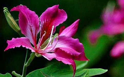 �茑(xi��)���G���ĳ�������