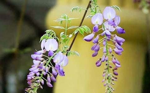 ���l(xi��ng)�����ٻ�����