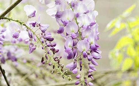 ���l(xi��ng)�����ٻ���(y��u)������