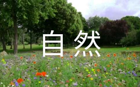 ����Ȼ���������ķ���