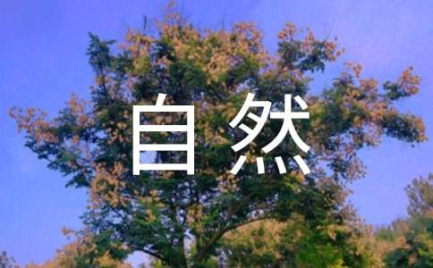 ��Ȼ�L(f��ng)-�W(xu��)������800��