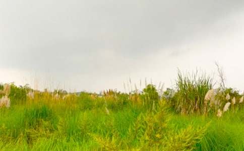 ���M(j��n)���C�Ĵ�������ģ����x7ƪ��