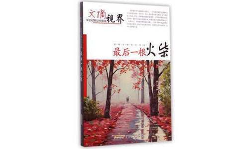 《最后一根火柴》閱讀答案