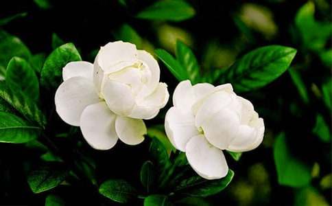 ��������������ľ��x