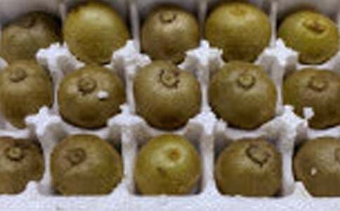 獼猴桃初一作文