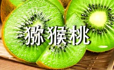 ���l(xi��ng)�īJ�������ąR��15ƪ