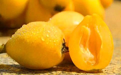 我愛故鄉(xiāng)的枇杷作文(4篇)