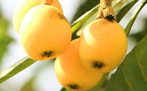 ���˘�(sh��)�����m(x��)��(xi��)���ģ�ͨ��21ƪ��