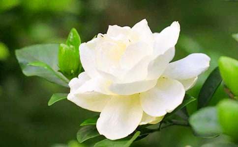 �d�ӻ��^������