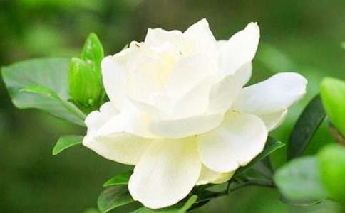 �d�ӻ������ҵ�ӛ����̎����