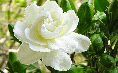 �����]��ӛ����d�ӻ�������