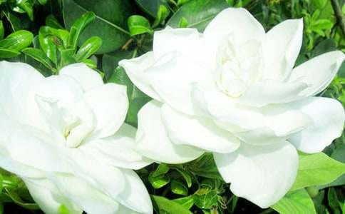 ��d�ӻ��Ӽ�������x����600��