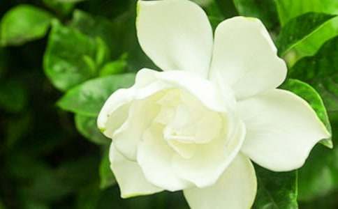 ��ӛ����̎�ėd�ӻ���(y��u)������