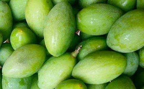 讀《斑馬和橄欖枝》有感作文