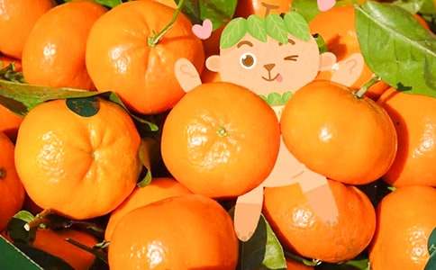 �^�����ӵ�����