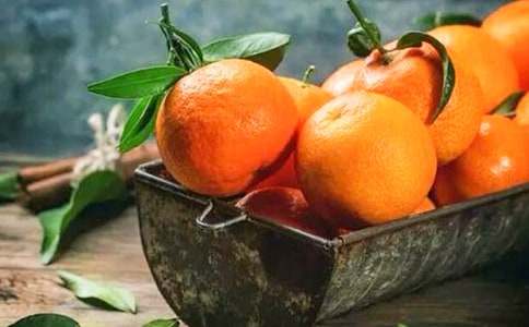 ����Ƥ�Ĺ���ͯԒ����