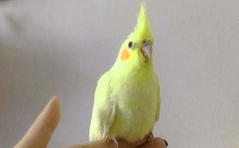 �P���W�^�~����3ƪ