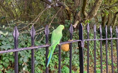 �W�^�~���ąR����ƪ