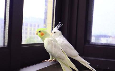 �P(gu��n)���W�^�~���ĺϼ���ƪ