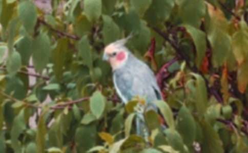 ���P(gu��n)�W�^�~���ĺϼ���ƪ