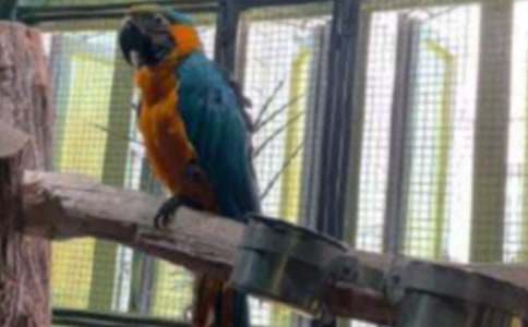 ���x�W�^ͯԒ����4ƪ