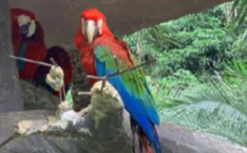 �W�^�~���ąR��7ƪ