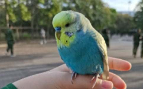 �茑�W�^�~�����ģ����x29ƪ��