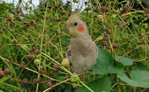 �W�^�~(y��)���ąR��8ƪ