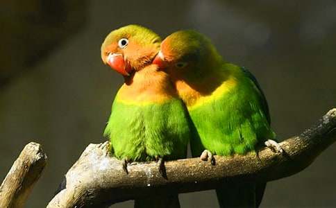 ����Ʒ���W�^�~����3ƪ