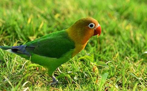 �^(gu��n)���W�^�����ģ����x19ƪ��