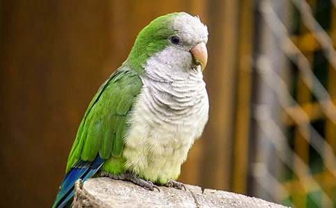 ���x�W�^�~���ĺϼ���ƪ