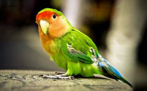 ���P(gu��n)�W�^�~���ĺϼ�6ƪ