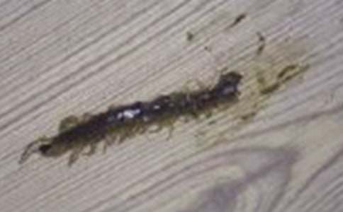 С���ͯԒ����