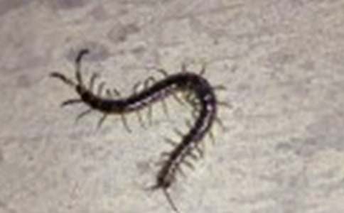 ��������Α�С������ِ