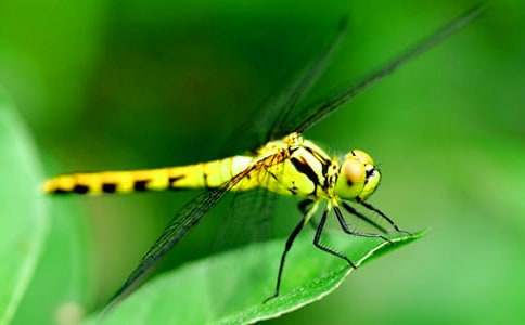 ׽���ѵ�����500��