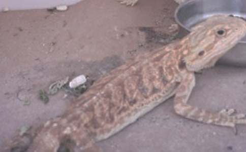 ����֮����������