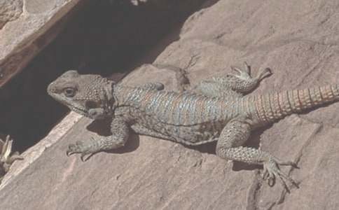 �������£�����֮��