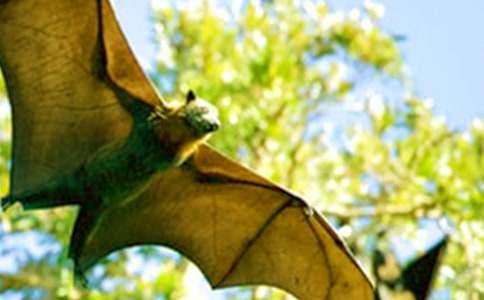 �¸ҵ��Ҵ��(zh��n)��������