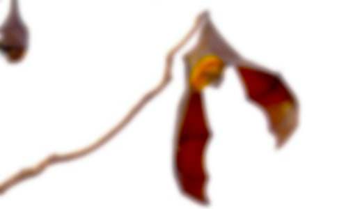 С�W����(y��u)�����������������ͨ��18ƪ��