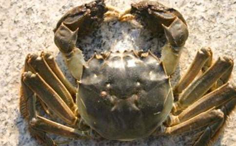 �з���ӵ�ͯԒ����