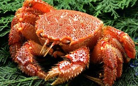 ��(d��ng)��ͯԒ���£������c�з