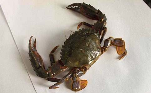 �^���з���ļ��\15ƪ