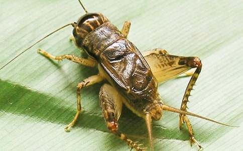 �^��������(ͨ��6ƪ)