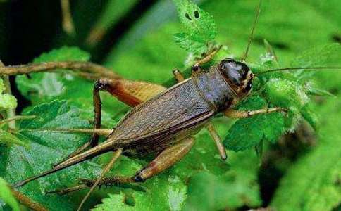 �^��������6ƪ